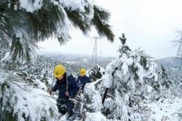 蘇皖因暴雪受損線(xiàn)路恢復(fù)供電