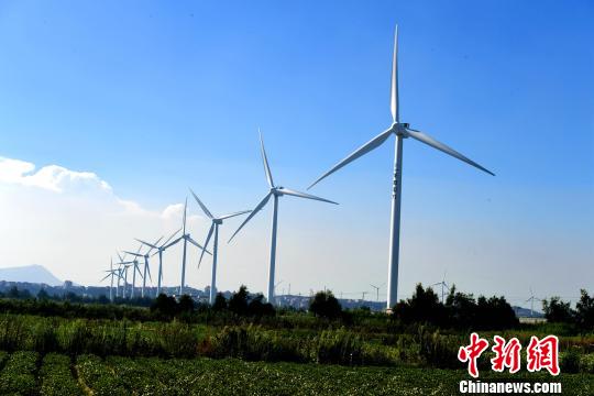 莆田沿海整齊的風(fēng)力發(fā)電設(shè)備?！⊥鯑|明 攝