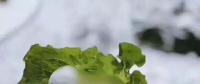 氣荒之后，又輪到了電煤供給的緊張局面
