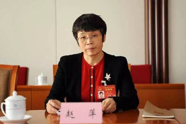 東方風(fēng)電趙萍：海上風(fēng)機(jī)大型化是趨勢(shì)，中國(guó)已落后一步