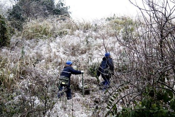 桂林興安供電冰雪來(lái)襲抗冰勇士在行動(dòng)