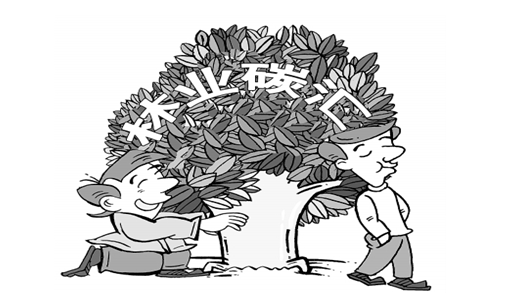 林業(yè)碳匯CCER項(xiàng)目如何參與碳交易獲得補(bǔ)貼來(lái)賺錢(qián)