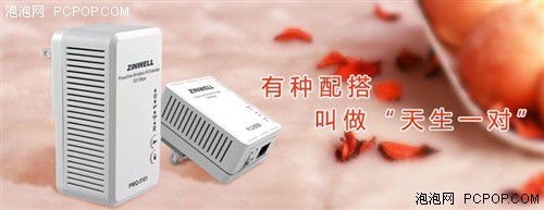 電力貓的版本眾多，從電力線傳輸技術(shù)上就可以分為HomePlug和G.hn，采用相同電力線通信技術(shù)的電力貓還可以分為有線電力貓和無線電力貓，而在無線電力貓中還有無線AP和無線路由的區(qū)別。外觀功能上的區(qū)別就更大了，以ZINWELL為例，就先后推出了單口有線電力貓，帶電源延長(zhǎng)線的電力貓，多口有線電力貓，電力貓無線路由器，無線AP電力貓，帶電源插座的電力貓等。