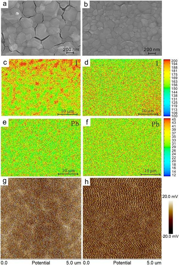 中科院上海應用物理研究所Nano Energy: 鈣鈦礦薄膜表面結(jié)晶晶相優(yōu)化