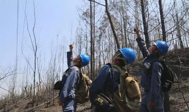 聽說最近輸電線路和鐵塔“火”啦！