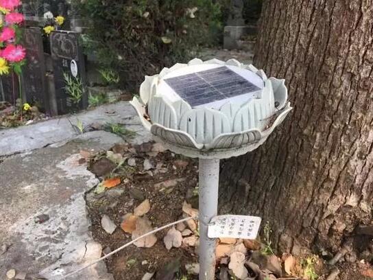 墓地傳來(lái)哭聲 周圍卻沒(méi)有人影 清明節(jié)你被光伏嚇著了嗎？