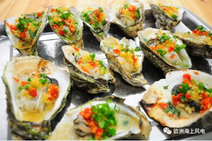 維斯塔斯海上風(fēng)機(jī)搞創(chuàng)新：居然還用到生蠔！