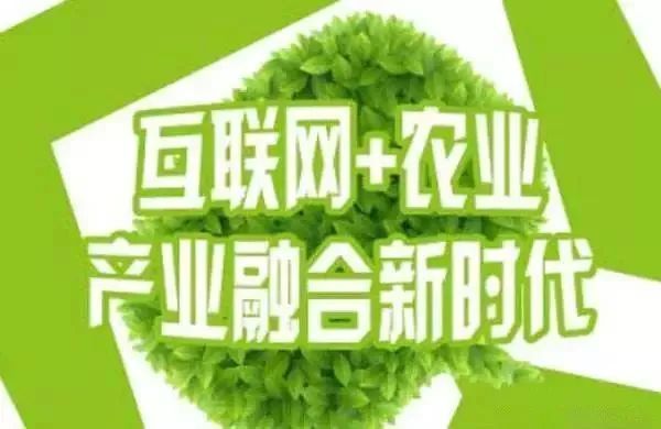 互聯(lián)網(wǎng)+農(nóng)業(yè)，6大創(chuàng)業(yè)方向是…
