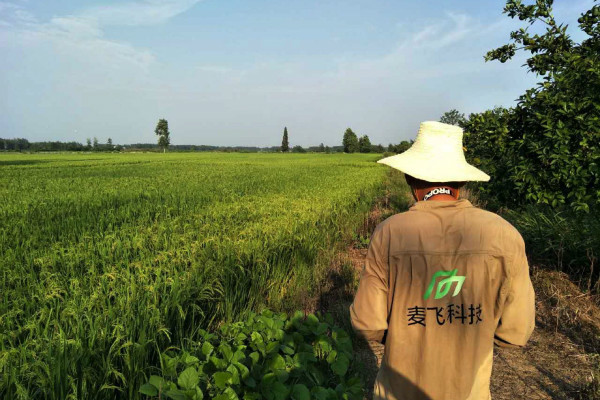 “AI+遙感”覬覦萬億級(jí)智慧農(nóng)業(yè)市場(chǎng)，這次沒有中間商賺差價(jià) 