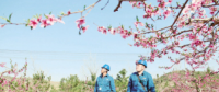 世界一流能源互聯(lián)網(wǎng)企業(yè)怎么建？國(guó)網(wǎng)已簽訂39個(gè)增量配電試點(diǎn)項(xiàng)目合作意向書(shū)