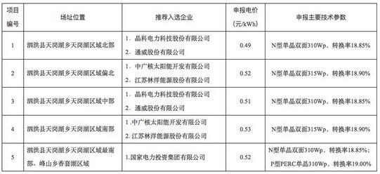 18家企業(yè)10個光伏應(yīng)用領(lǐng)跑基地中標情況