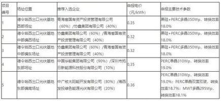 18家企業(yè)10個光伏應(yīng)用領(lǐng)跑基地中標情況