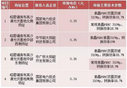 18家企業(yè)10個光伏應(yīng)用領(lǐng)跑基地中標情況