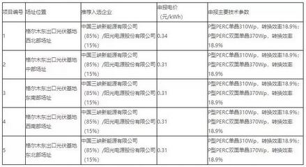 18家企業(yè)10個光伏應(yīng)用領(lǐng)跑基地中標情況