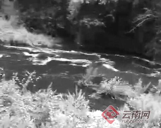 云南麗江部分水體變黑臭并有牲畜尸體，環(huán)保局：水閘放水引起