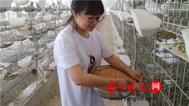 一個“80”后研究生的“綠色農(nóng)業(yè)夢”：用“互聯(lián)網(wǎng)+”思維做農(nóng)業(yè)，新型職業(yè)農(nóng)民“潮”起來