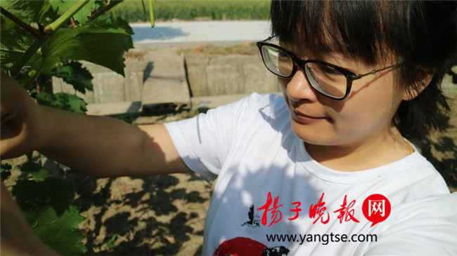 一個“80”后研究生的“綠色農(nóng)業(yè)夢”：用“互聯(lián)網(wǎng)+”思維做農(nóng)業(yè)，新型職業(yè)農(nóng)民“潮”起來