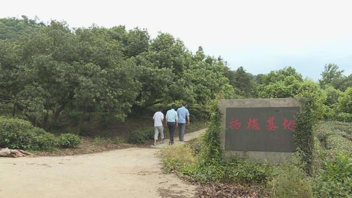 插上?“互聯(lián)網(wǎng)+”翅膀 長興讓新鮮楊梅“遠走高飛”