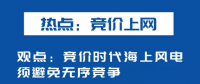 海上風(fēng)電如何應(yīng)對(duì)競(jìng)價(jià)上網(wǎng)、大功率研發(fā)、事故風(fēng)險(xiǎn)？