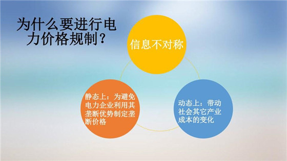 我國(guó)電力價(jià)格規(guī)制現(xiàn)狀、存在的問(wèn)題及原因分析