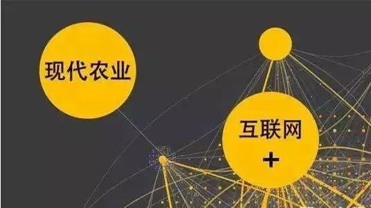 顛覆！裂變！賦能！互聯(lián)網(wǎng)+農(nóng)業(yè)領(lǐng)域的“豬飛起來了”