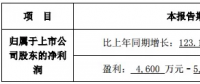 隆基、晶科齊發(fā)聲 “531”利大于弊？