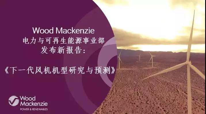 12-15MW+！歐洲“零補(bǔ)貼”海上風(fēng)場(chǎng)項(xiàng)目開發(fā)主要選型