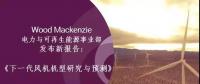 12-15MW+！歐洲“零補(bǔ)貼”海上風(fēng)場(chǎng)項(xiàng)目開發(fā)主要選型