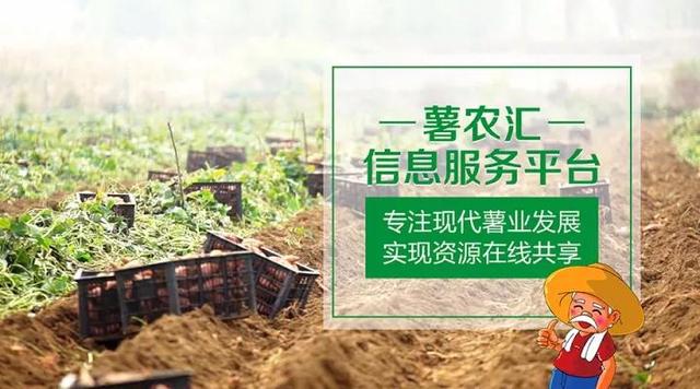 “互聯(lián)網(wǎng)+農(nóng)業(yè)”，創(chuàng)造農(nóng)村發(fā)展新活力