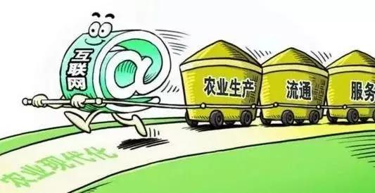 2018年農(nóng)村電商巨頭卡位戰(zhàn)：互聯(lián)網(wǎng)+農(nóng)業(yè)新玩法！