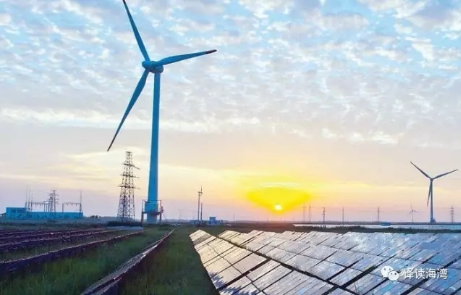 低價中標(biāo)？400MW風(fēng)電項目收到4份正式報價