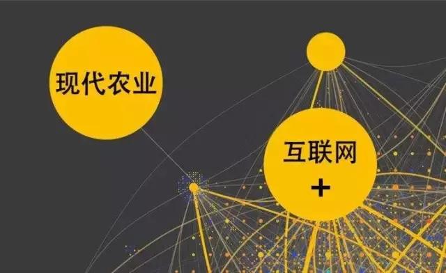 如何用“互聯(lián)網(wǎng)+”重塑農(nóng)業(yè)競(jìng)爭(zhēng)優(yōu)勢(shì)？
