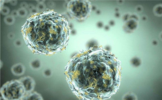 科學家研制新型生物電池，以廢水中的細菌為“電源”