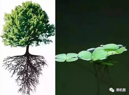 插樁式、坐底式 詳解海上風(fēng)電安裝平臺的作業(yè)方式