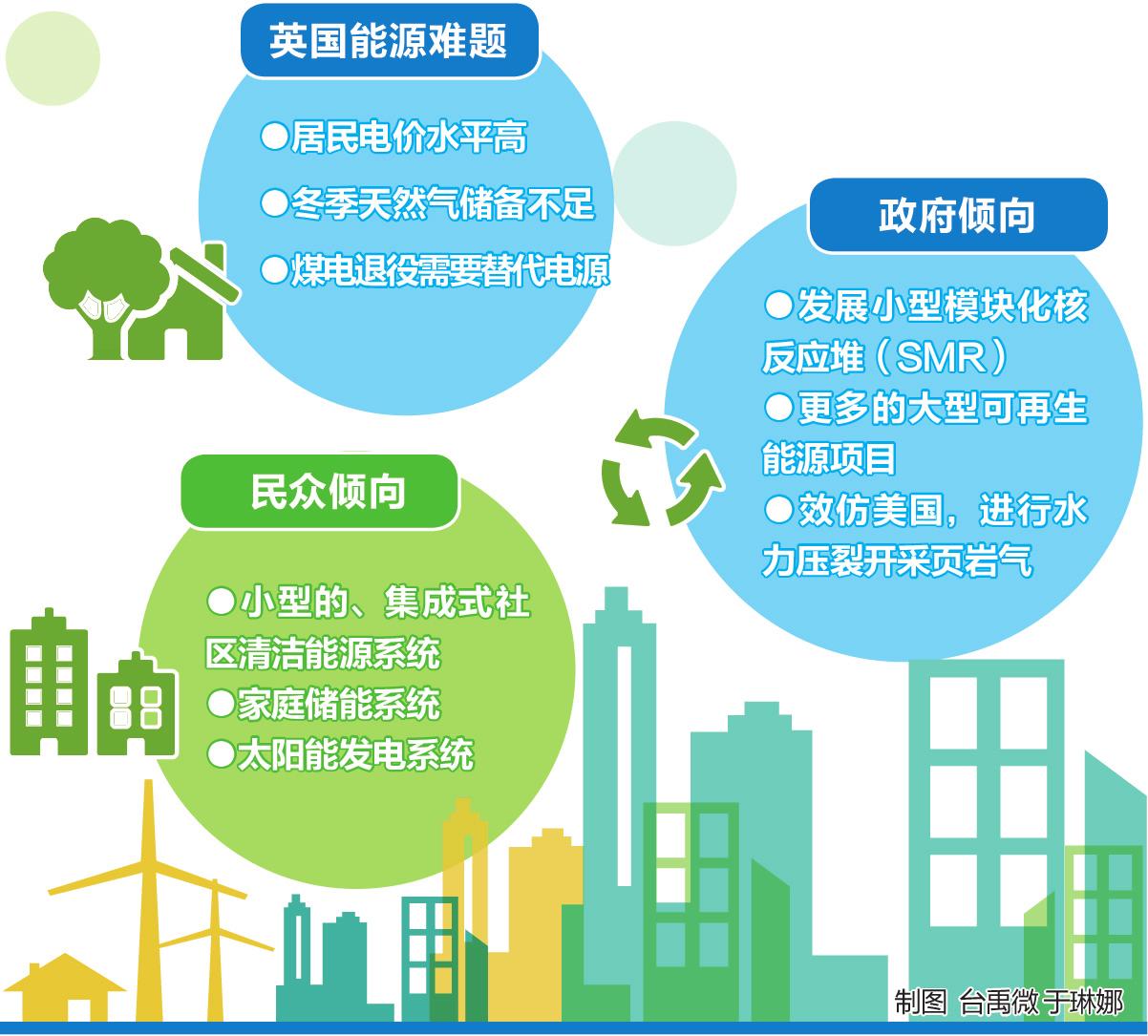 英國更傾向哪種減排方式？