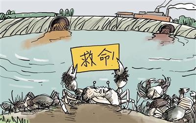 上游污水“毒死”萬畝大閘蟹，誰擔其責？