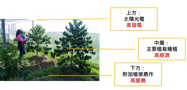 后補(bǔ)貼時代 “架高、一地多用”助力光伏平價上網(wǎng)