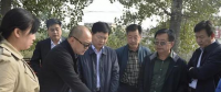 三門峽示范區(qū)增量配電項(xiàng)目穩(wěn)步推進(jìn) 將開設(shè)大用戶售電業(yè)務(wù)