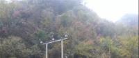 湖北整治關(guān)停100多座小水電站 , 其中宜昌48座、神農(nóng)架林區(qū)21座、恩施20座