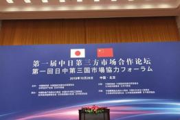 安倍晉三訪華 協(xié)鑫、天合和晶科為光伏行業(yè)長臉了！