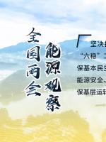 讀圖｜2020政府工作報(bào)告中這些內(nèi)容，和能源電力有關(guān)！